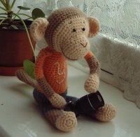 My monkey Yoshi